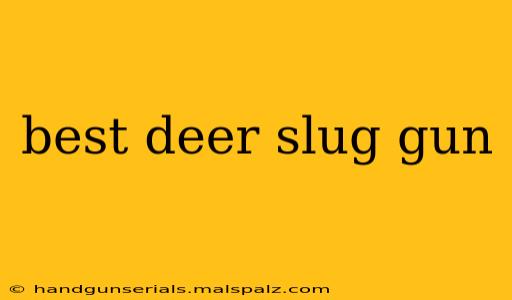 best deer slug gun