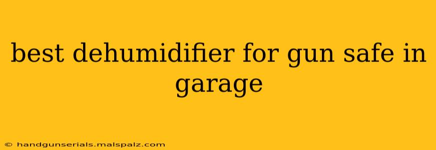 best dehumidifier for gun safe in garage