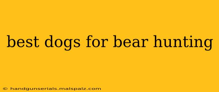 best dogs for bear hunting