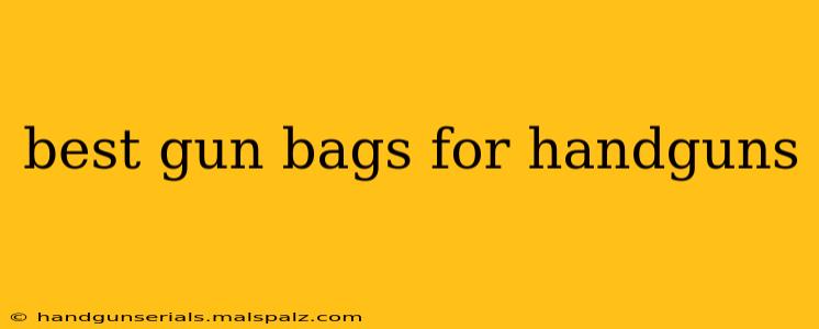 best gun bags for handguns