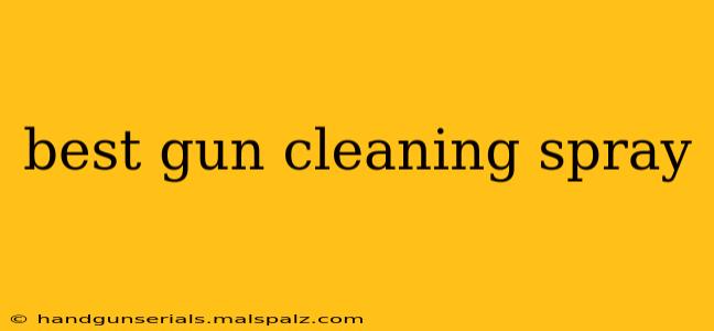 best gun cleaning spray