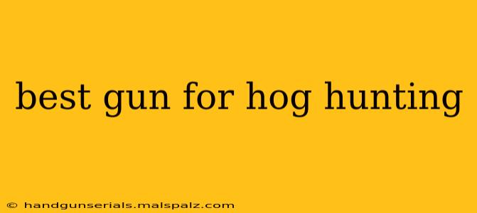 best gun for hog hunting