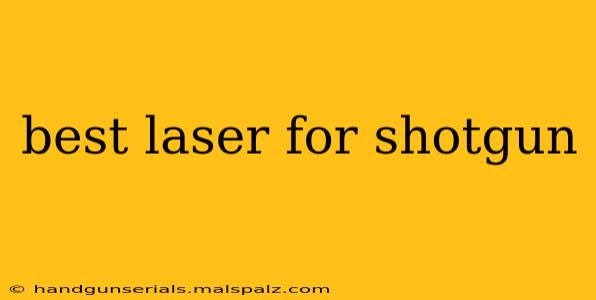 best laser for shotgun