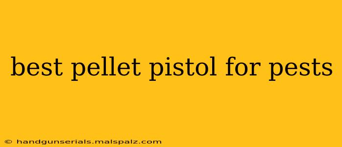 best pellet pistol for pests