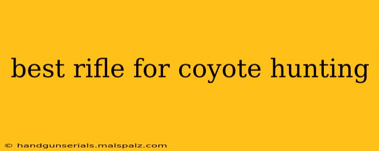 best rifle for coyote hunting