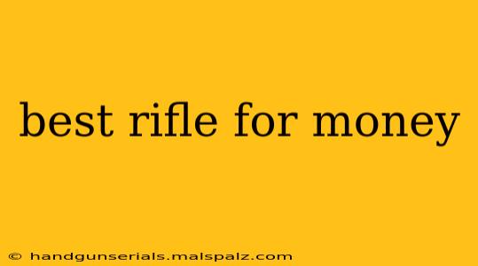 best rifle for money