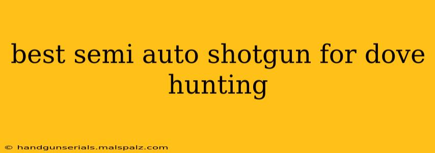 best semi auto shotgun for dove hunting