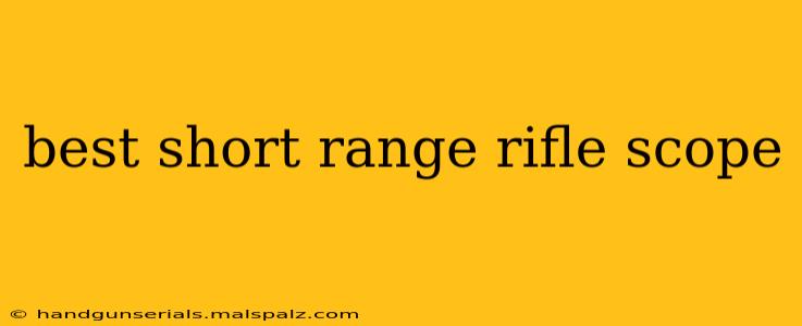 best short range rifle scope