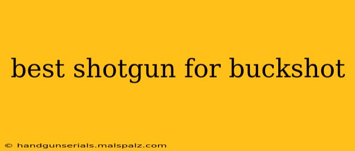 best shotgun for buckshot