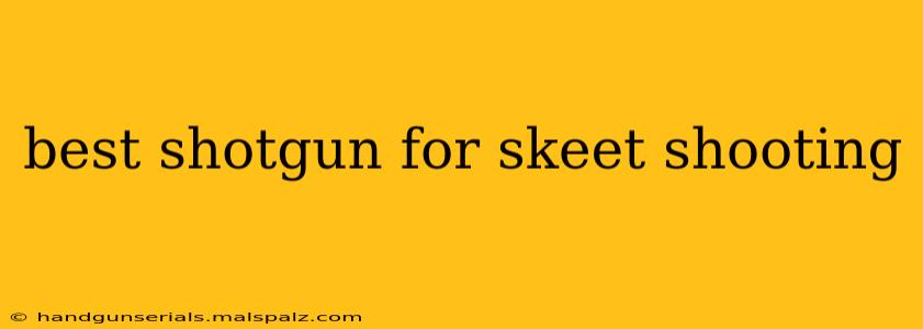 best shotgun for skeet shooting