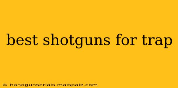 best shotguns for trap