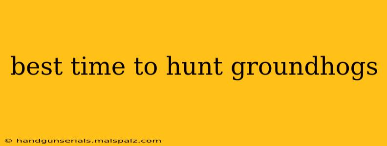 best time to hunt groundhogs