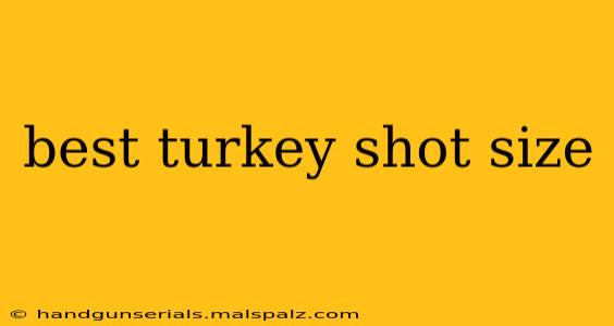 best turkey shot size