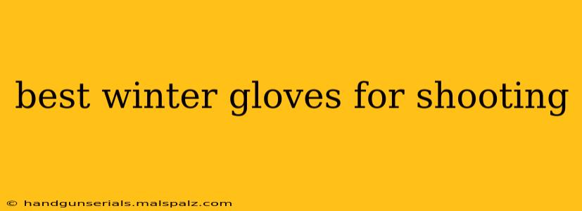 best winter gloves for shooting