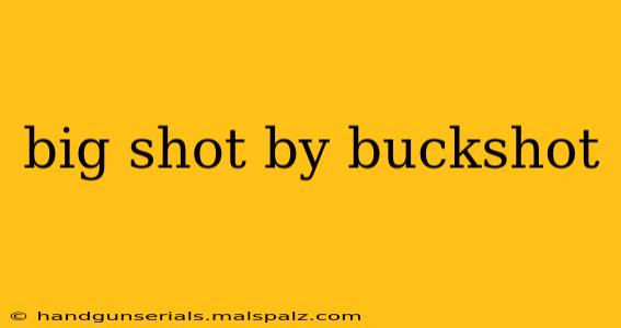 big shot by buckshot