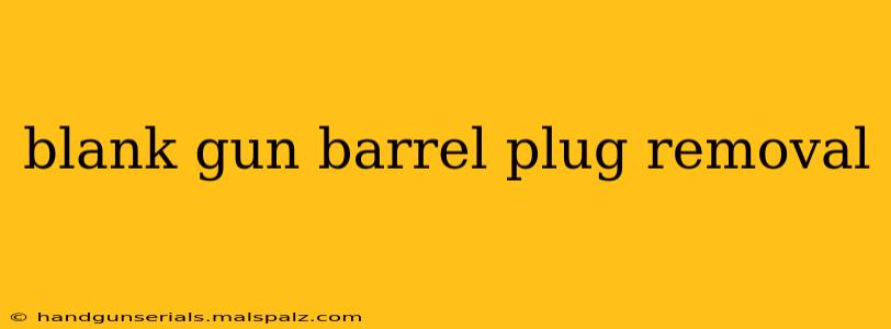 blank gun barrel plug removal