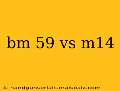 bm 59 vs m14