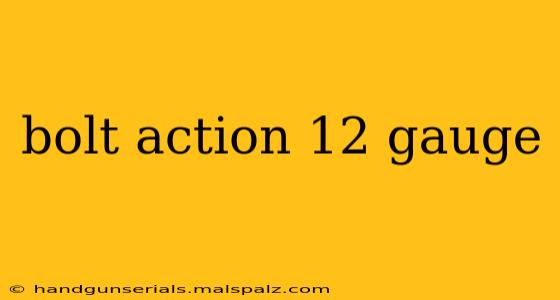 bolt action 12 gauge