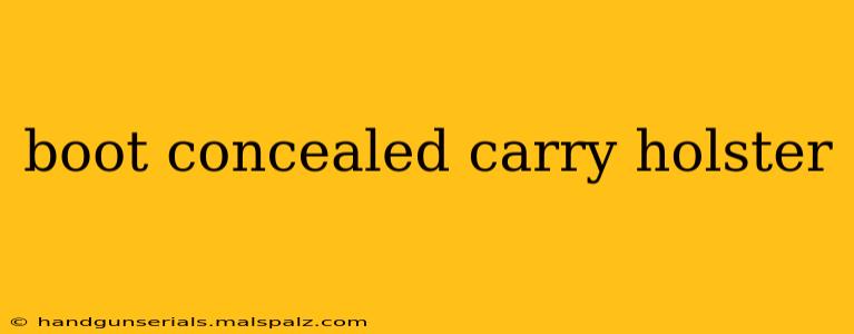 boot concealed carry holster