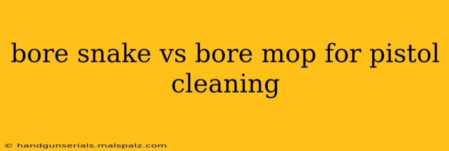 bore snake vs bore mop for pistol cleaning