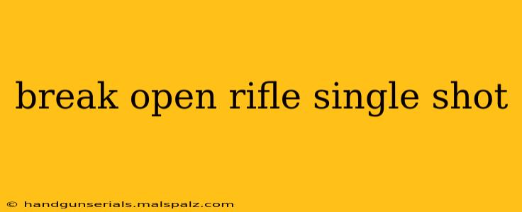 break open rifle single shot