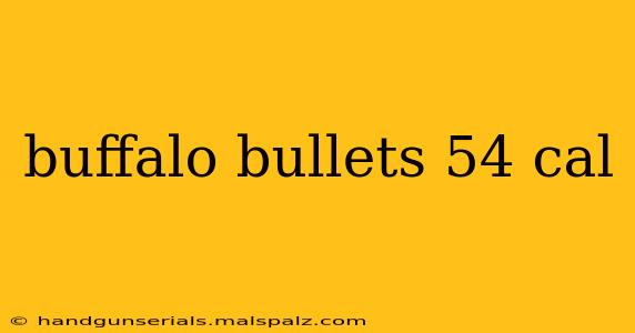 buffalo bullets 54 cal