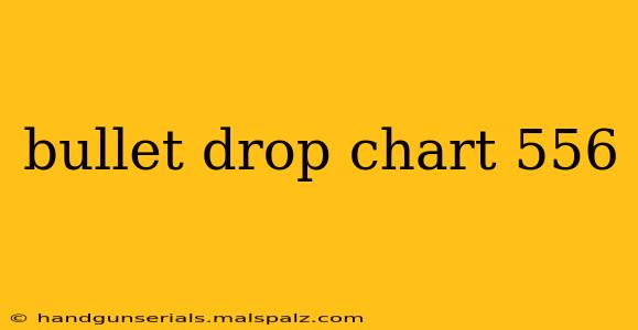 bullet drop chart 556