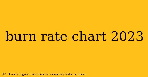 burn rate chart 2023