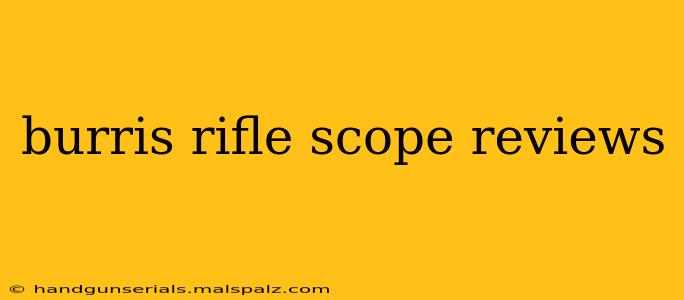 burris rifle scope reviews