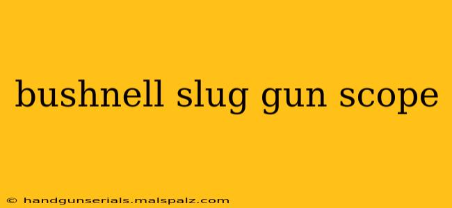 bushnell slug gun scope