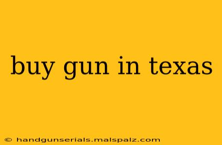 buy gun in texas