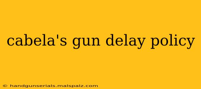 cabela's gun delay policy