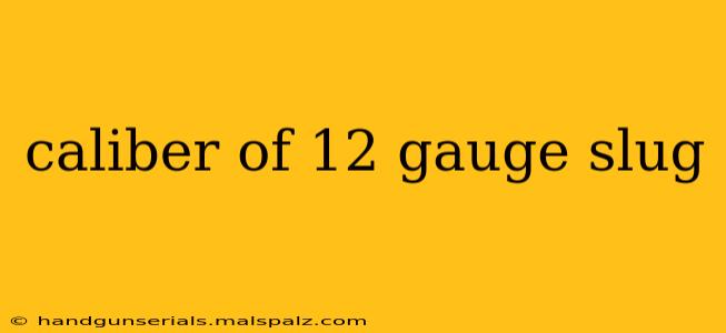 caliber of 12 gauge slug