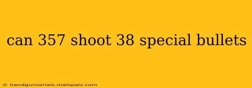 can 357 shoot 38 special bullets