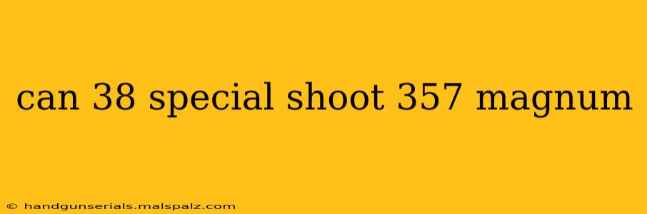 can 38 special shoot 357 magnum