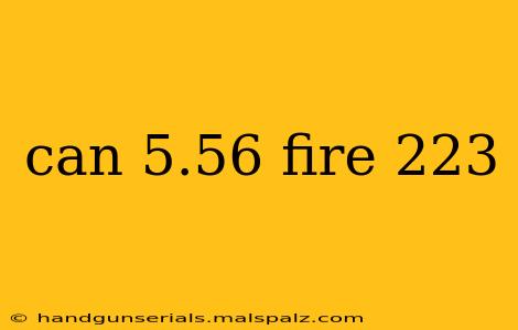 can 5.56 fire 223