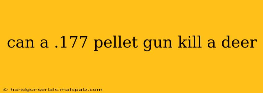 can a .177 pellet gun kill a deer