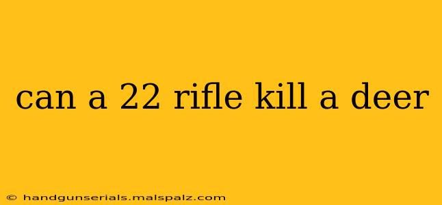 can a 22 rifle kill a deer