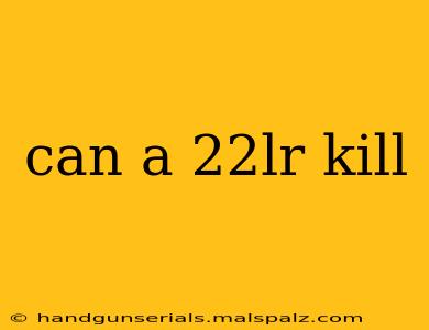 can a 22lr kill