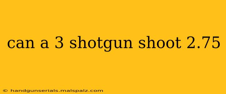 can a 3 shotgun shoot 2.75