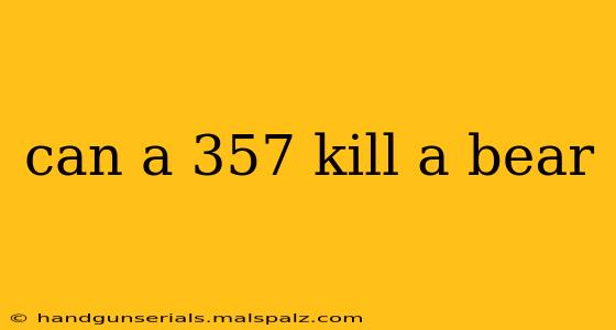 can a 357 kill a bear