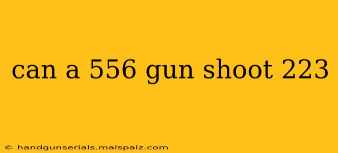 can a 556 gun shoot 223