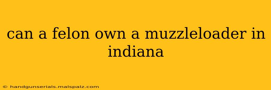 can a felon own a muzzleloader in indiana