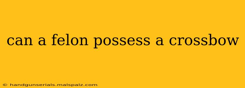 can a felon possess a crossbow