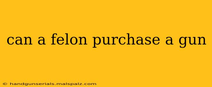 can a felon purchase a gun