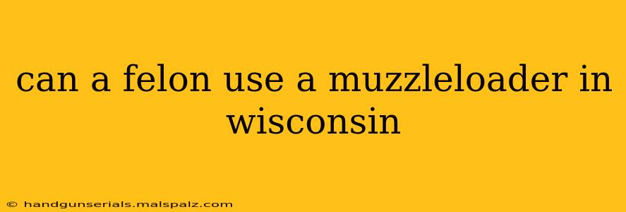 can a felon use a muzzleloader in wisconsin