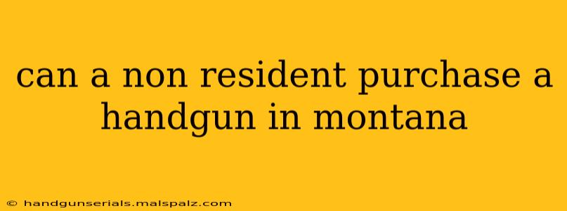 can a non resident purchase a handgun in montana