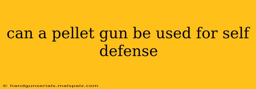 can a pellet gun be used for self defense