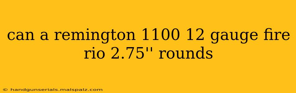 can a remington 1100 12 gauge fire rio 2.75'' rounds