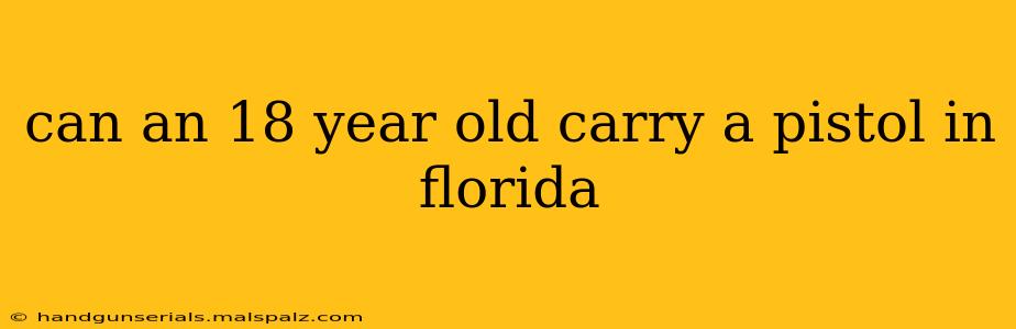 can an 18 year old carry a pistol in florida